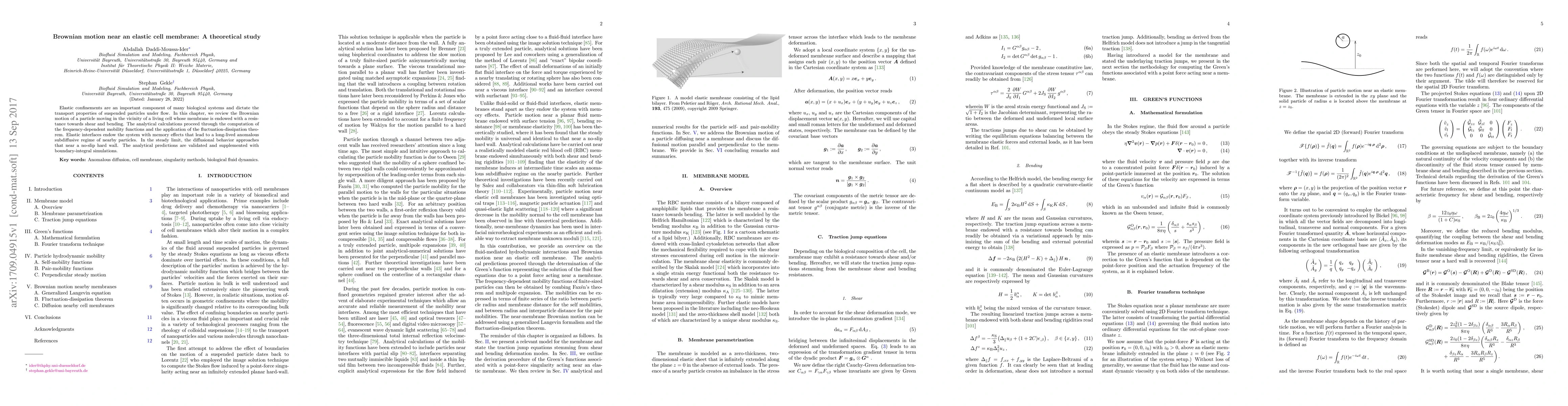 Thumbnail for Brownian motion near an elastic cell membrane: A theoretical study