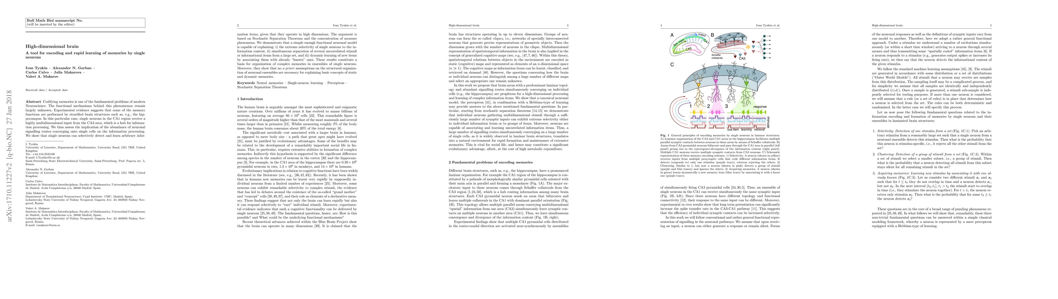 Thumbnail for High-dimensional brain. A tool for encoding and rapid learning of
  memories by single neurons