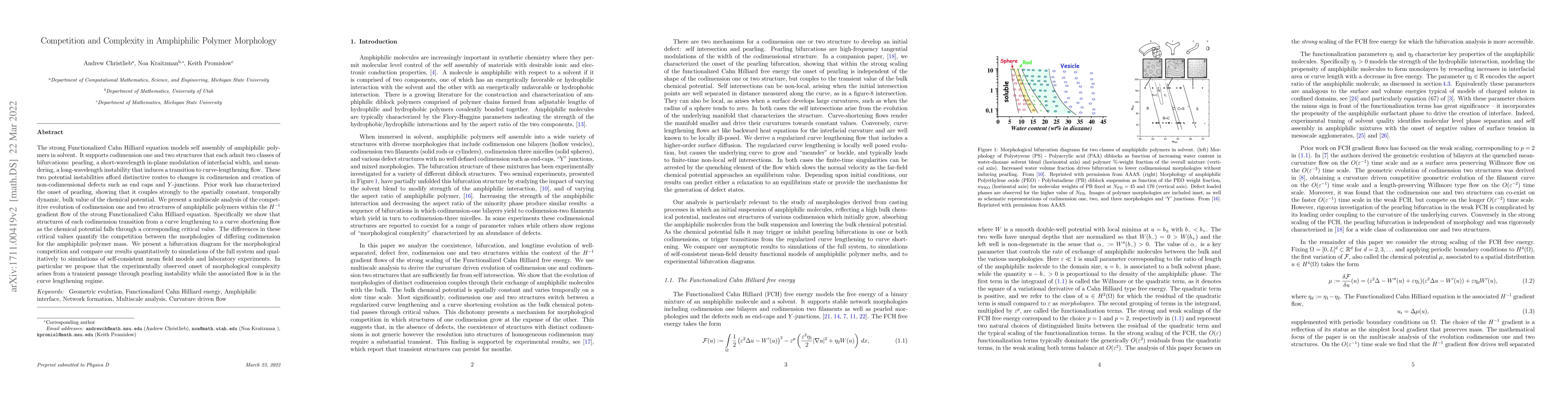 Thumbnail for Competition and Complexity in Amphiphilic Polymer Morphology