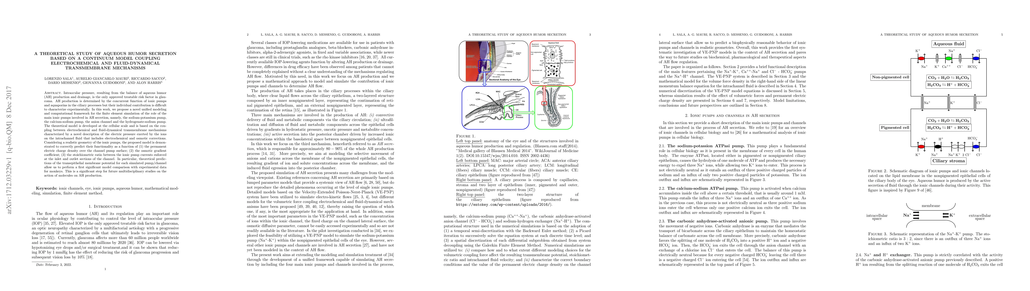 Thumbnail for A Theoretical Study of Aqueous Humor Secretion Based on a Continuum
  Model Coupling Electrochemical and Fluid-Dynamical Transmembrane Mechanisms
