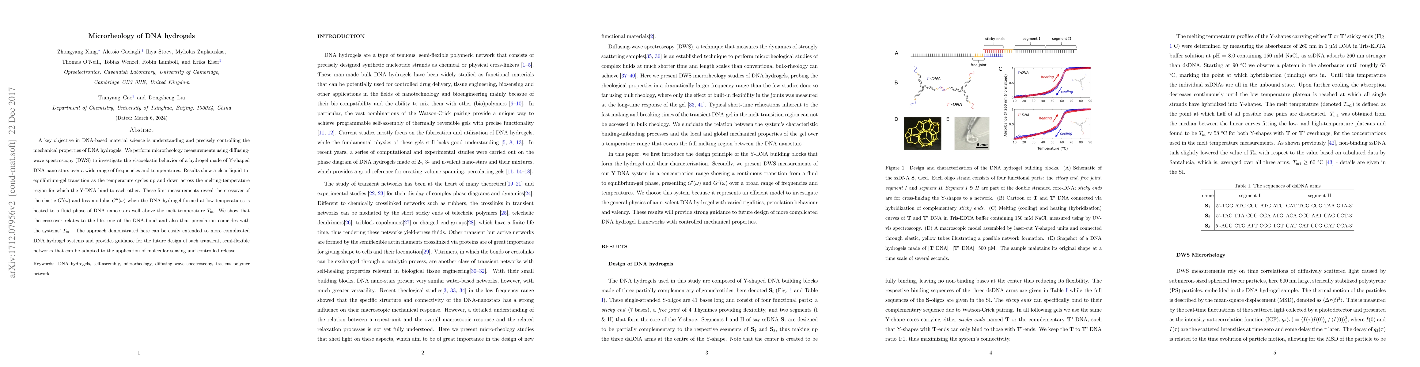 Thumbnail for Microrheology of DNA Hydrogels
