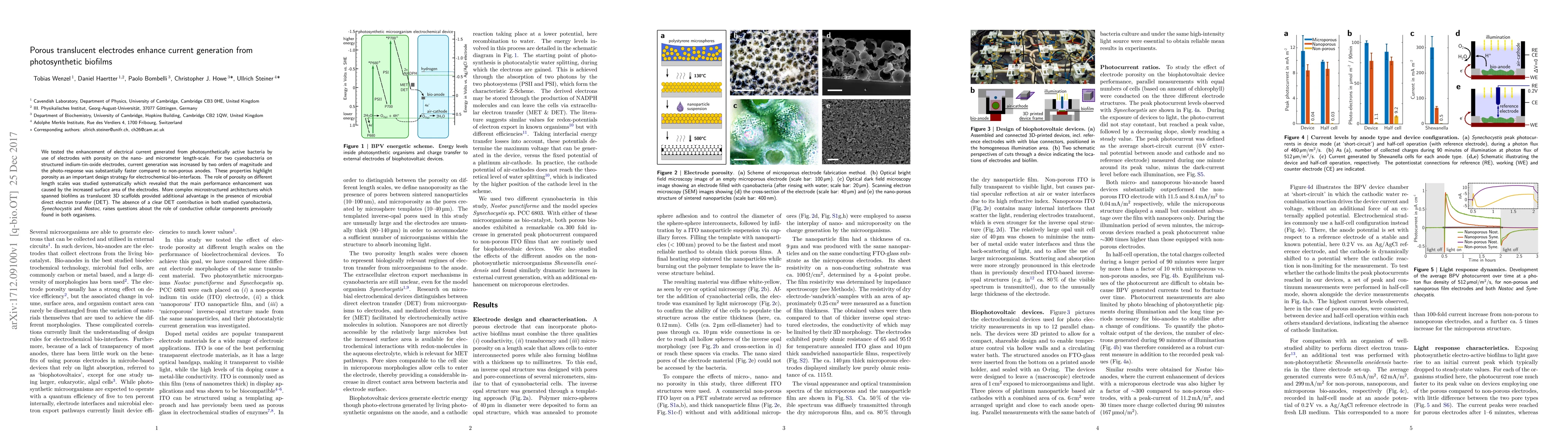 Thumbnail for Porous translucent electrodes enhance current generation from
  photosynthetic biofilms