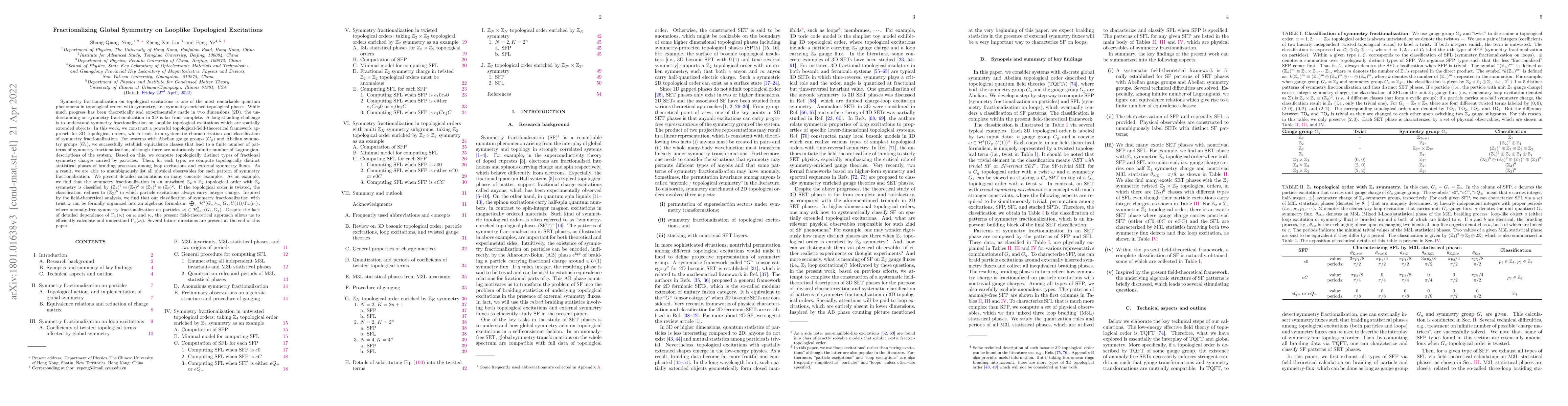 Thumbnail for Fractionalizing Global Symmetry on Looplike Topological Excitations