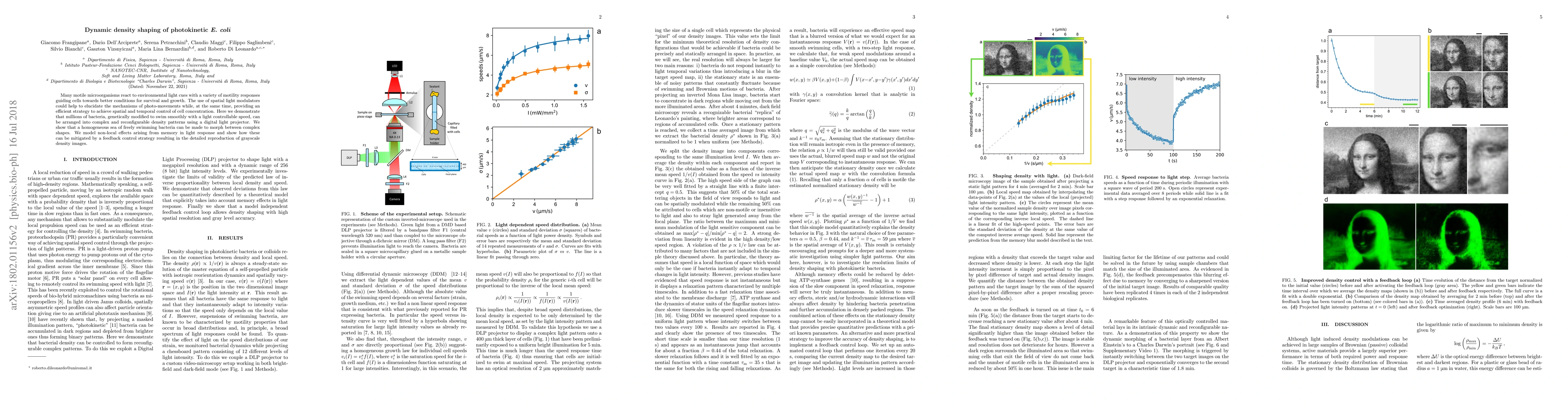 Thumbnail for Dynamic density shaping of light driven bacteria