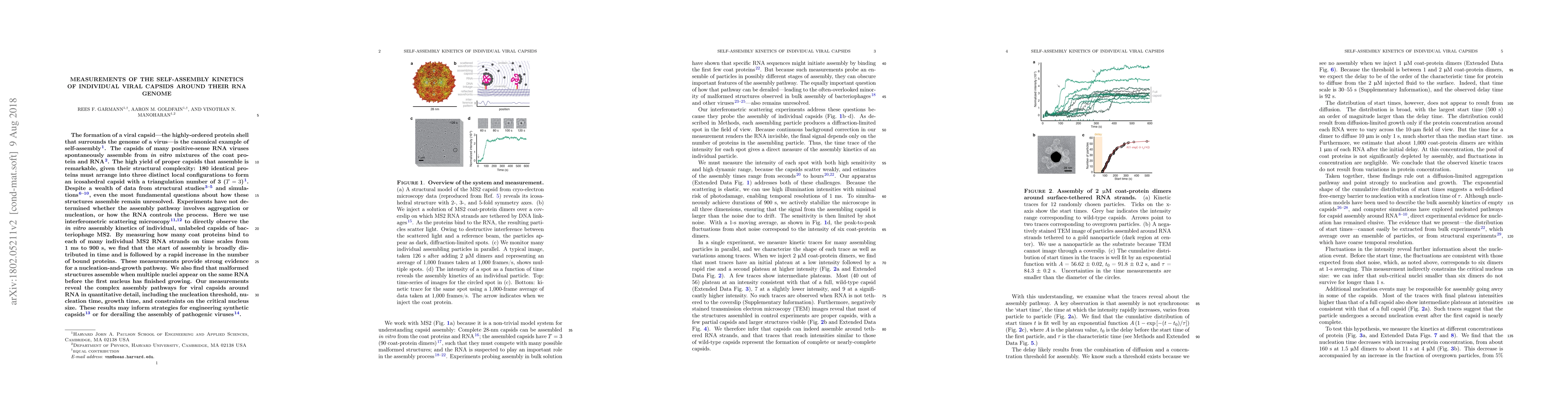 Thumbnail for Measurements of the self-assembly kinetics of individual viral capsids
  around their RNA genome