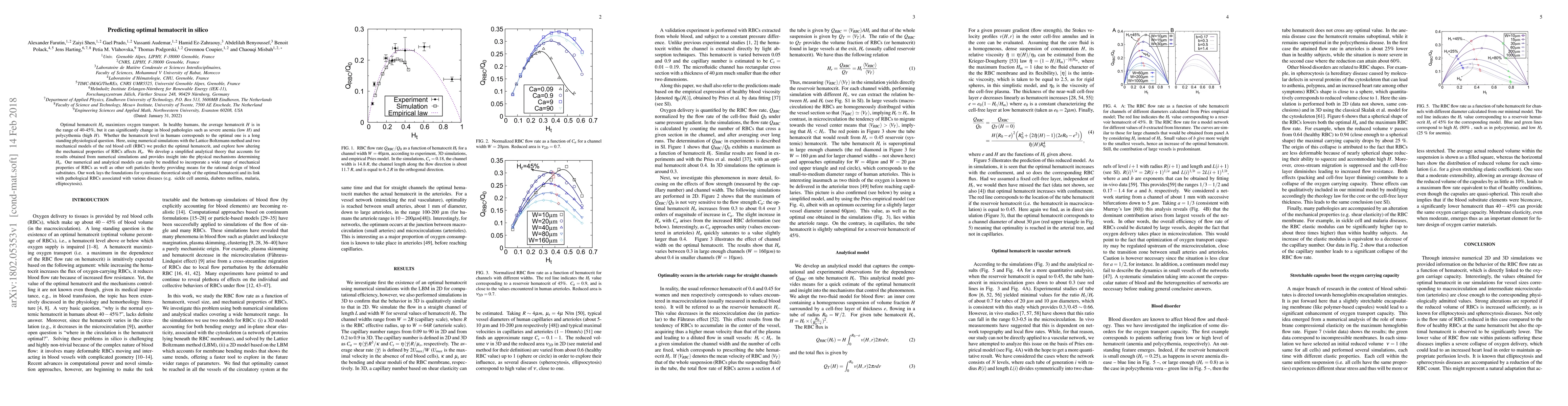 Thumbnail for Predicting optimal hematocrit in silico