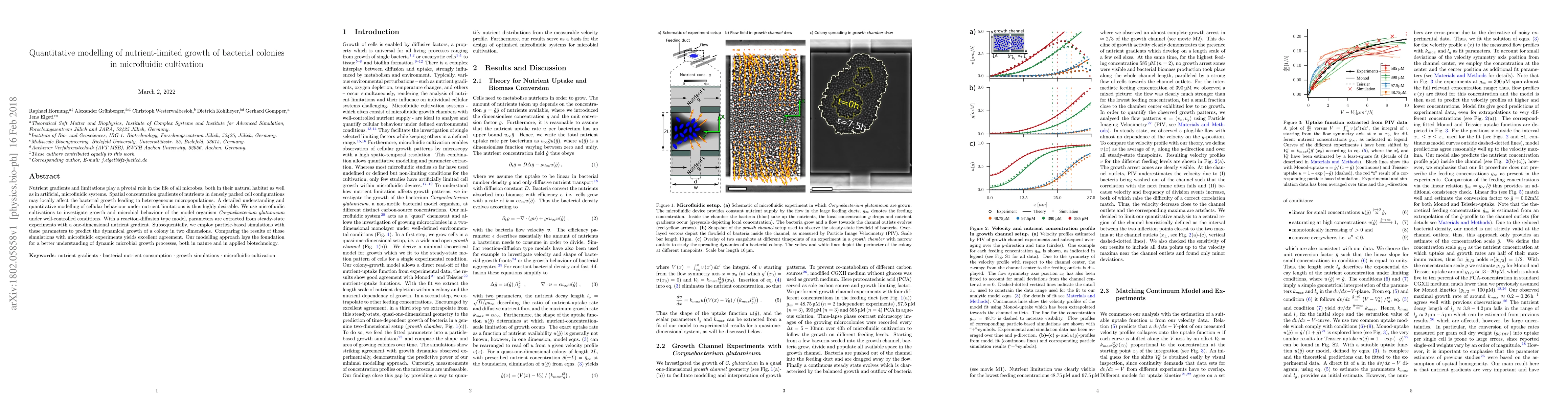 Thumbnail for Quantitative modelling of nutrient-limited growth of bacterial colonies
  in microfluidic cultivation