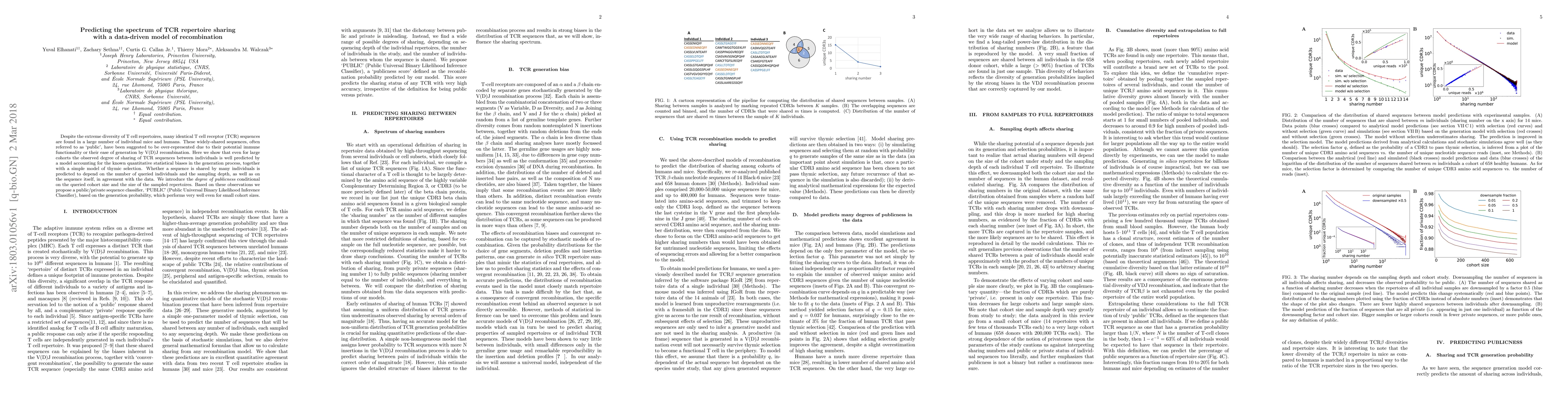 Thumbnail for Predicting the spectrum of TCR repertoire sharing with a data-driven
  model of recombination