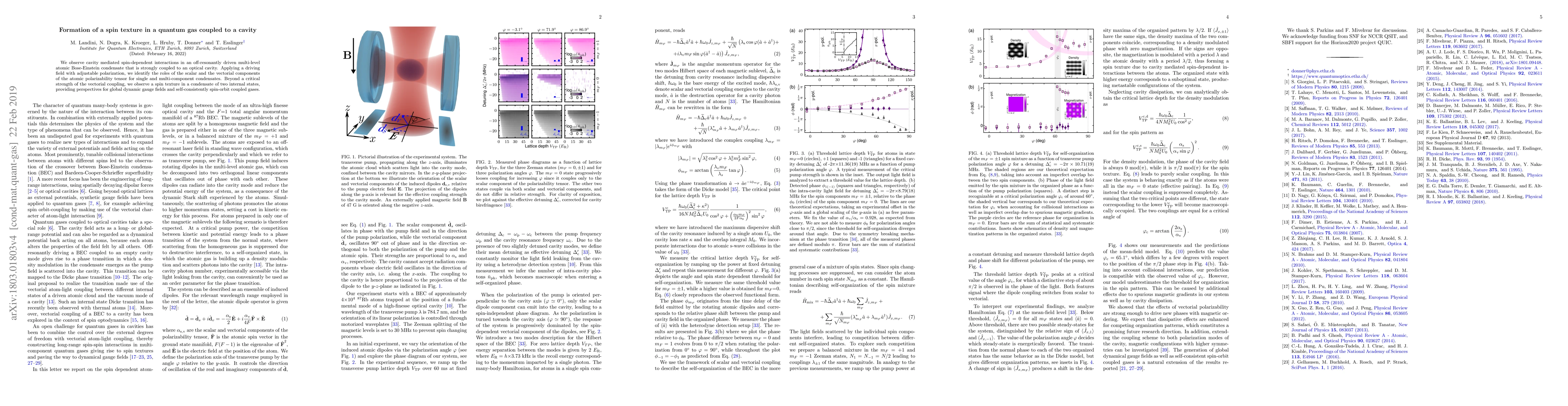Thumbnail for Formation of a spin texture in a quantum gas coupled to a cavity