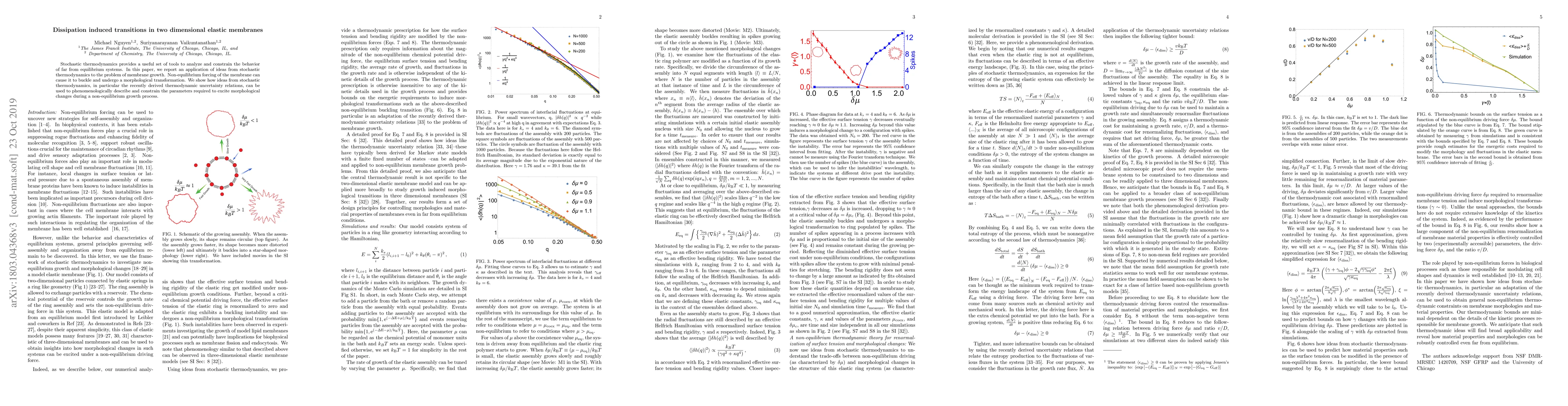Thumbnail for Dissipation induced transitions in two dimensional elastic membranes