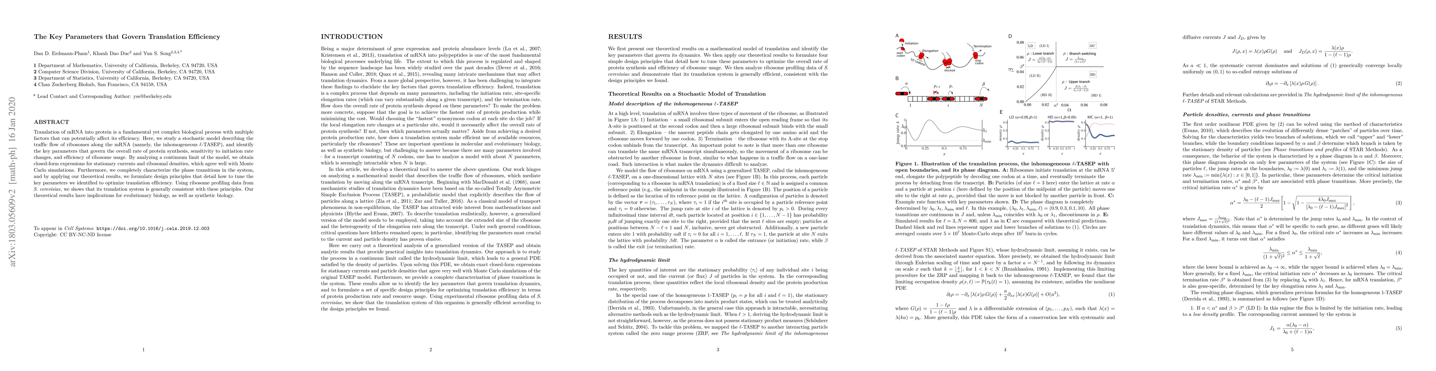 Thumbnail for The key parameters that govern translation efficiency