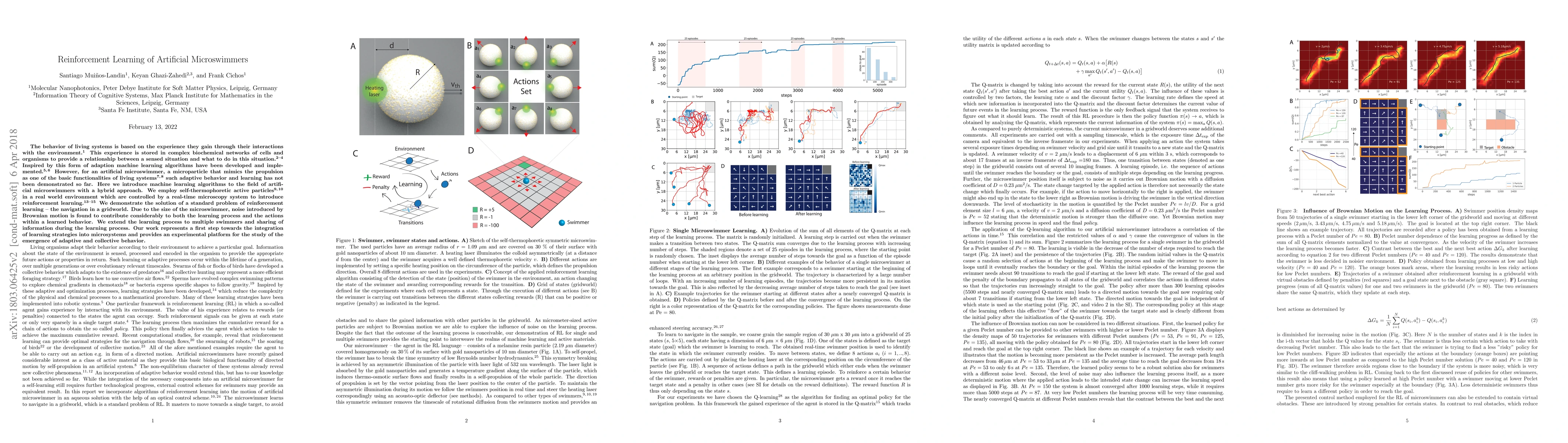 Thumbnail for Reinforcement Learning of Artificial Microswimmers