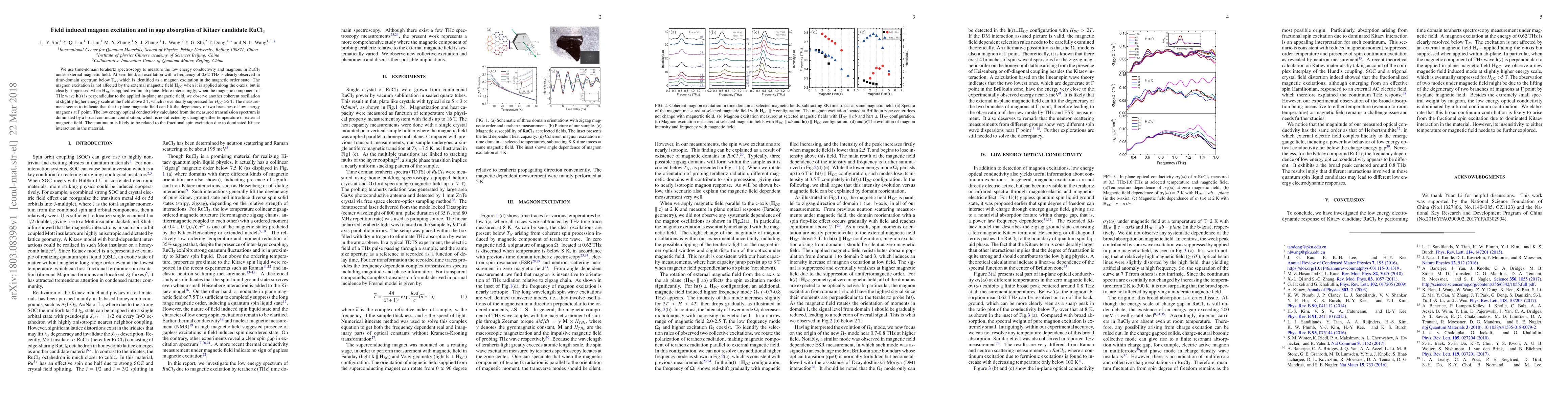 Thumbnail for Field induced magnon excitation and in gap absorption of Kitaev
  candidate RuCl3
