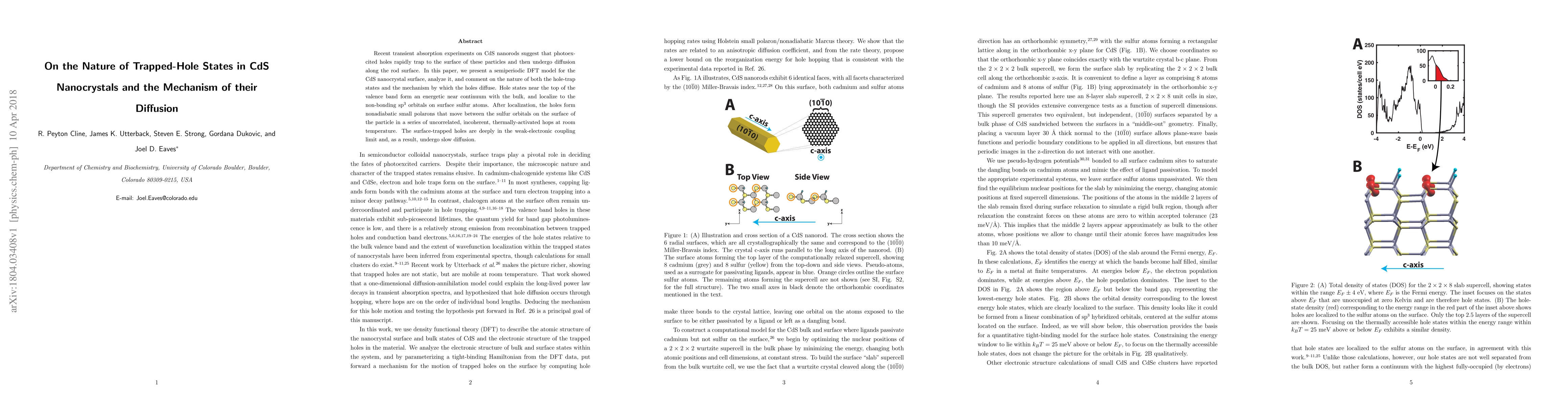 Thumbnail for On the Nature of Trapped-Hole States in CdS Nanocrystals and the
  Mechanism of their Diffusion