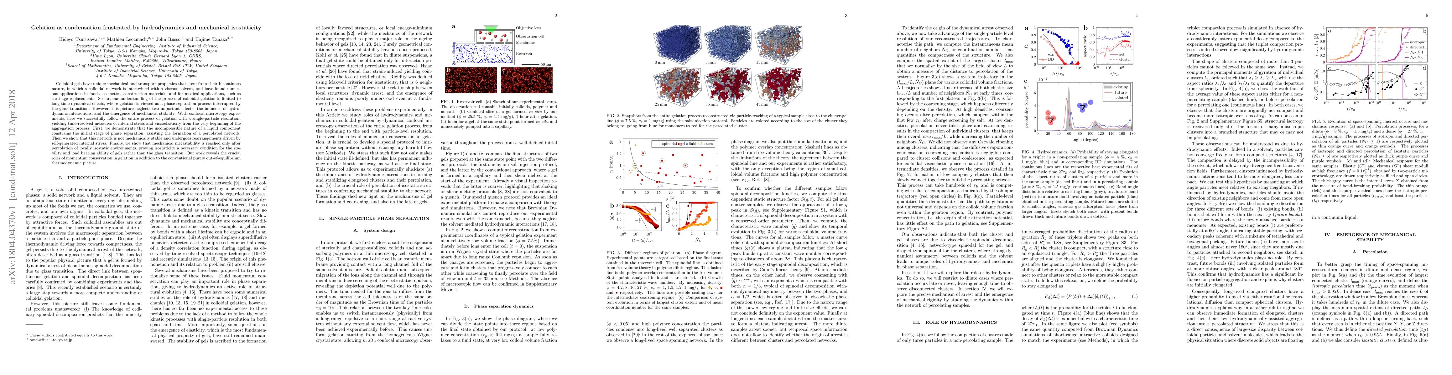 Thumbnail for Gelation as condensation frustrated by hydrodynamics and mechanical
  isostaticity
