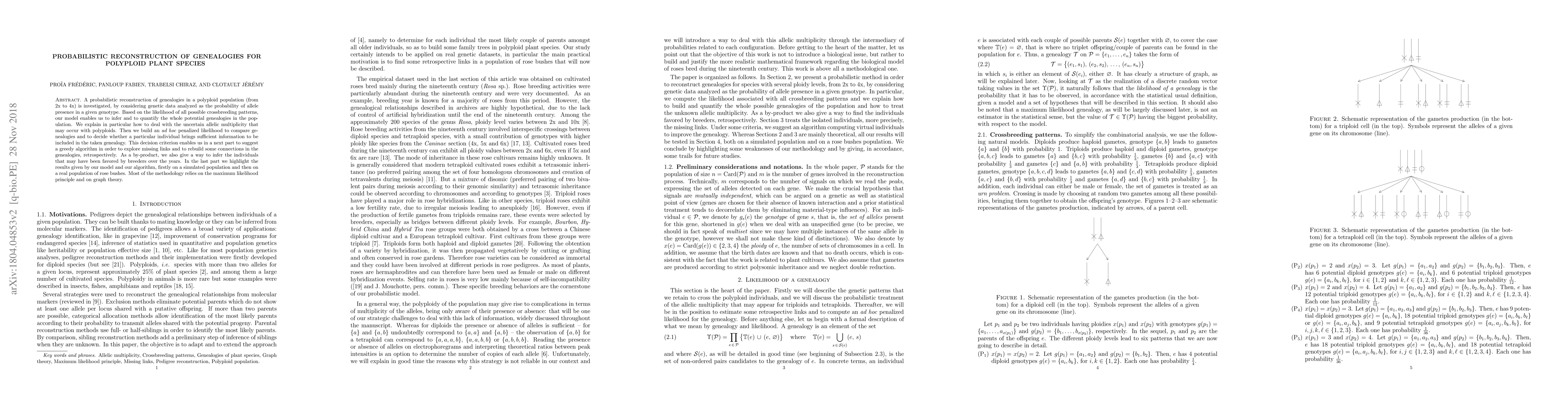 Thumbnail for Probabilistic reconstruction of genealogies for polyploid plant species