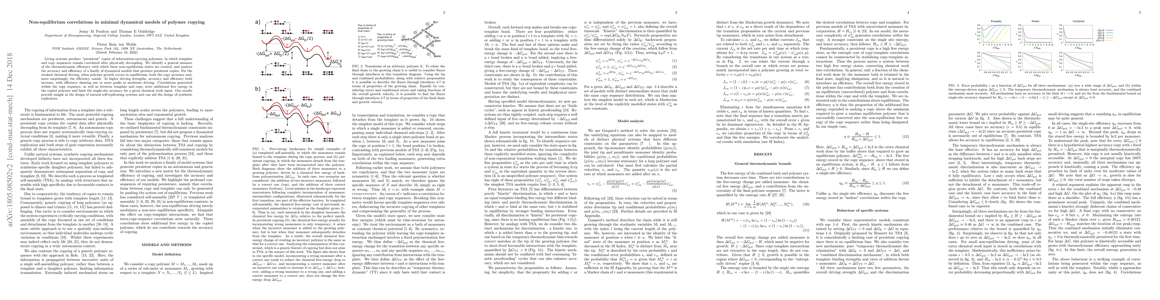 Thumbnail for Non-equilibrium correlations in minimal dynamical models of polymer
  copying