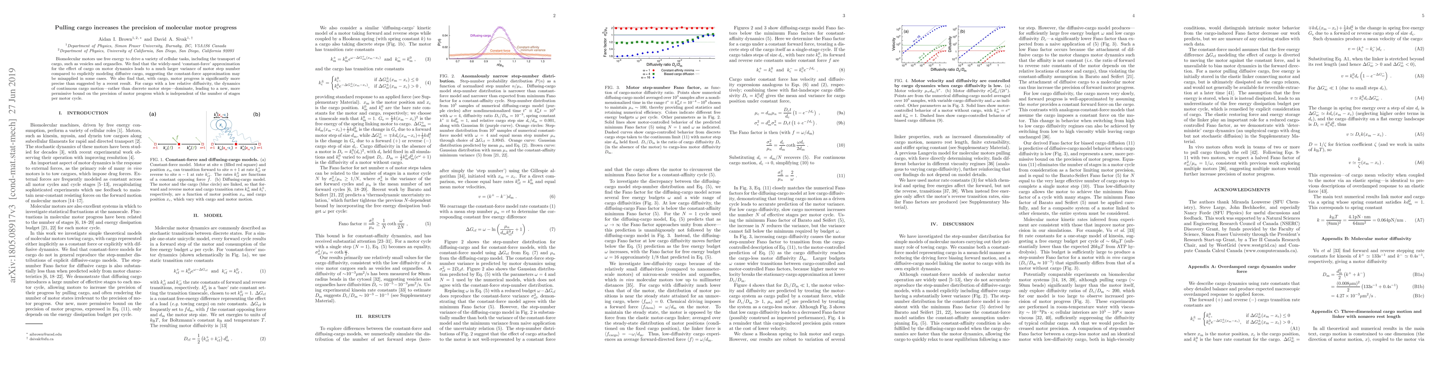 Thumbnail for Pulling cargo increases the precision of molecular motor progress