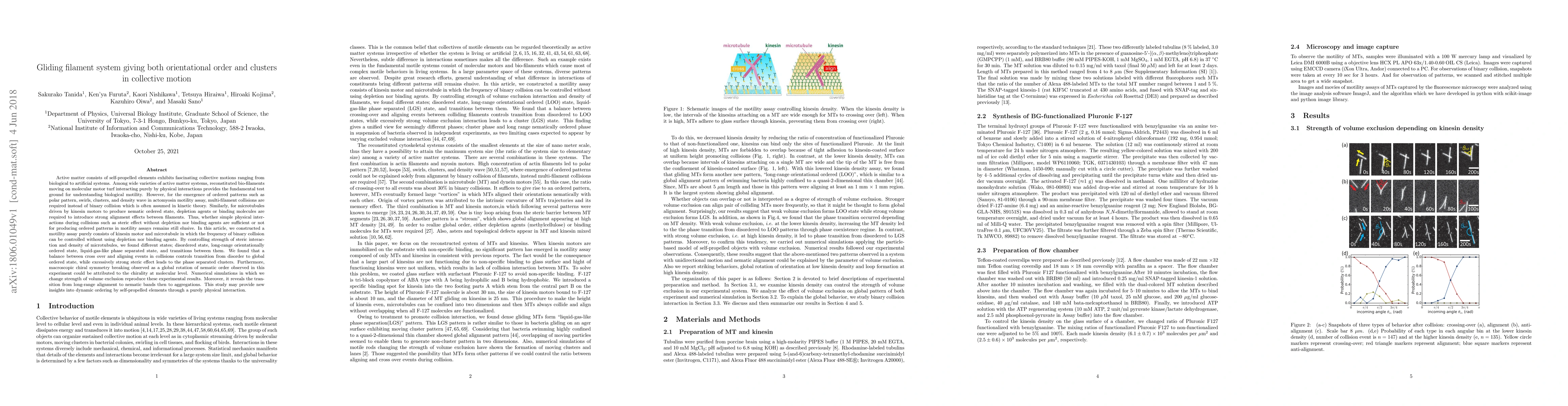Thumbnail for Gliding filament system giving both orientational order and clusters in
  collective motion