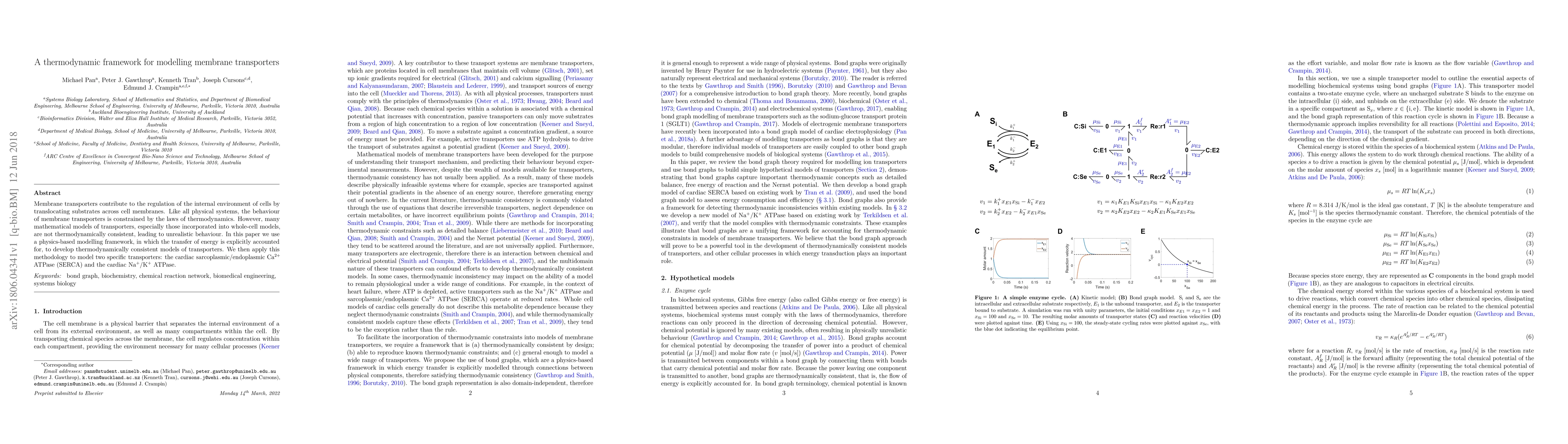 Thumbnail for A thermodynamic framework for modelling membrane transporters