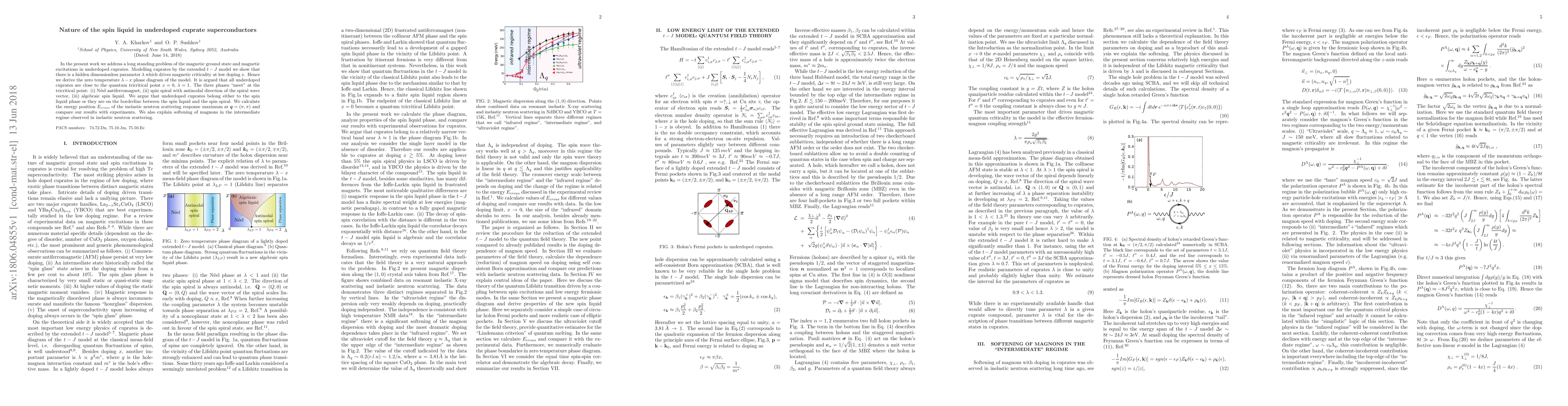 Thumbnail for Nature of the spin liquid in underdoped cuprate superconductors