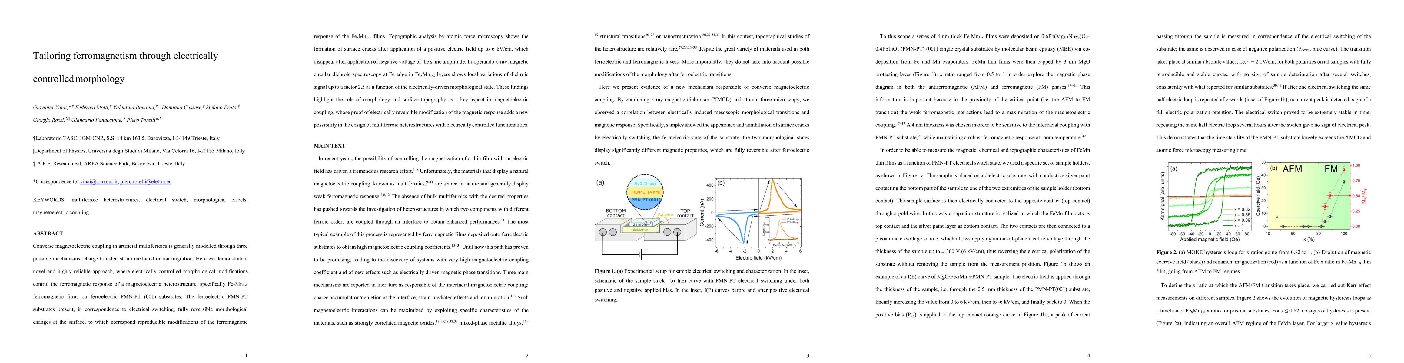 Thumbnail for Tailoring ferromagnetism through electrically controlled morphology