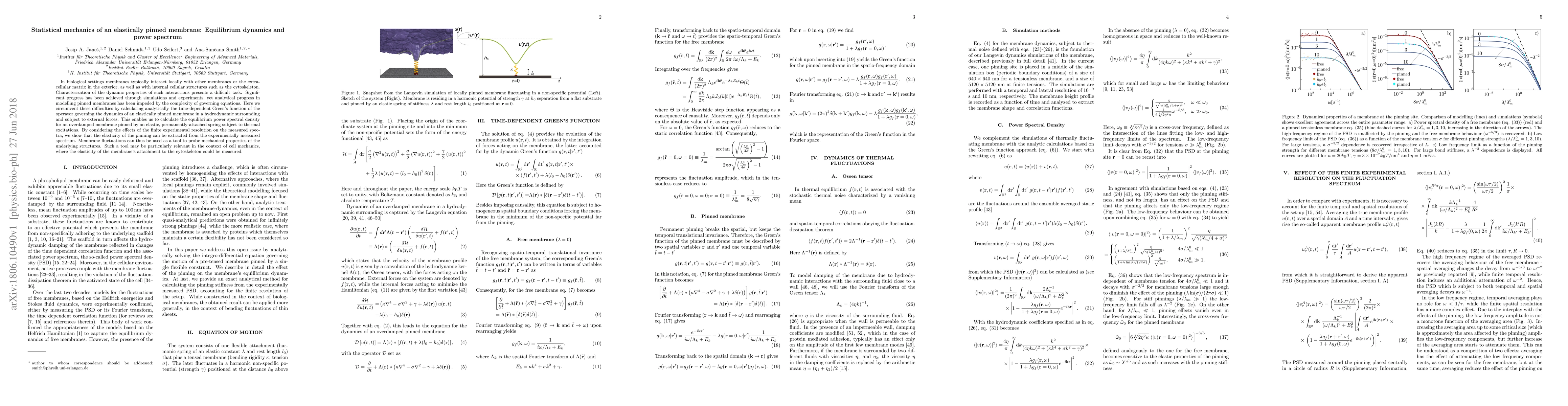 Thumbnail for Statistical mechanics of an elastically pinned membrane: Equilibrium
  dynamics and power spectrum