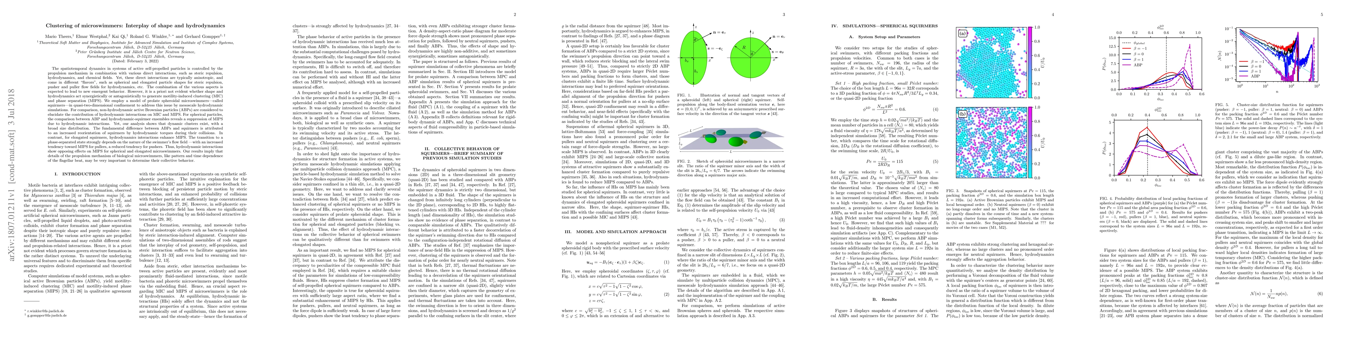 Thumbnail for Clustering of microswimmers: Interplay of shape and hydrodynamics