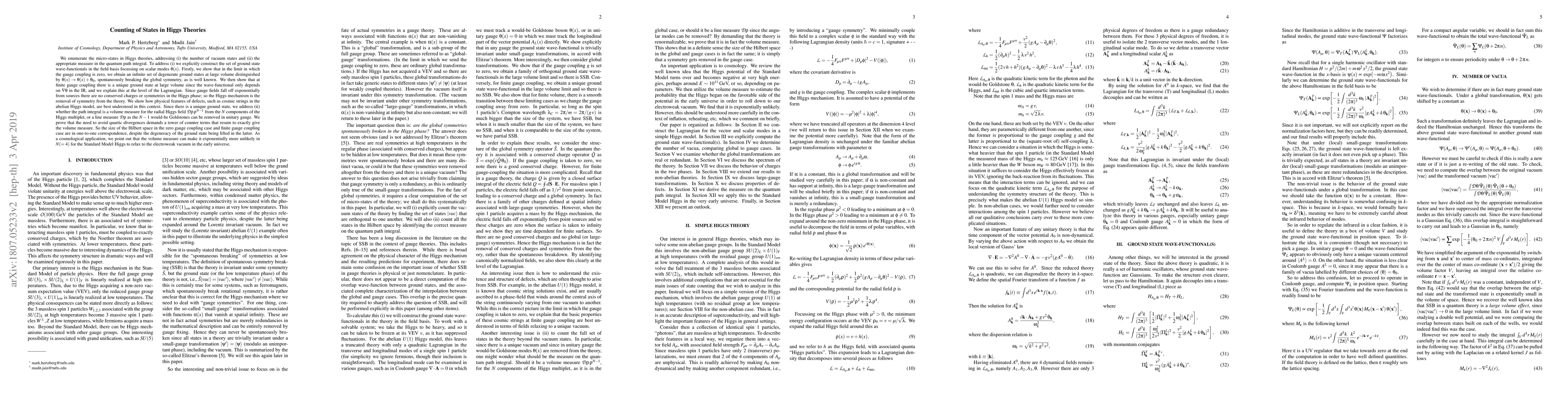 Thumbnail for Counting of States in Higgs Theories