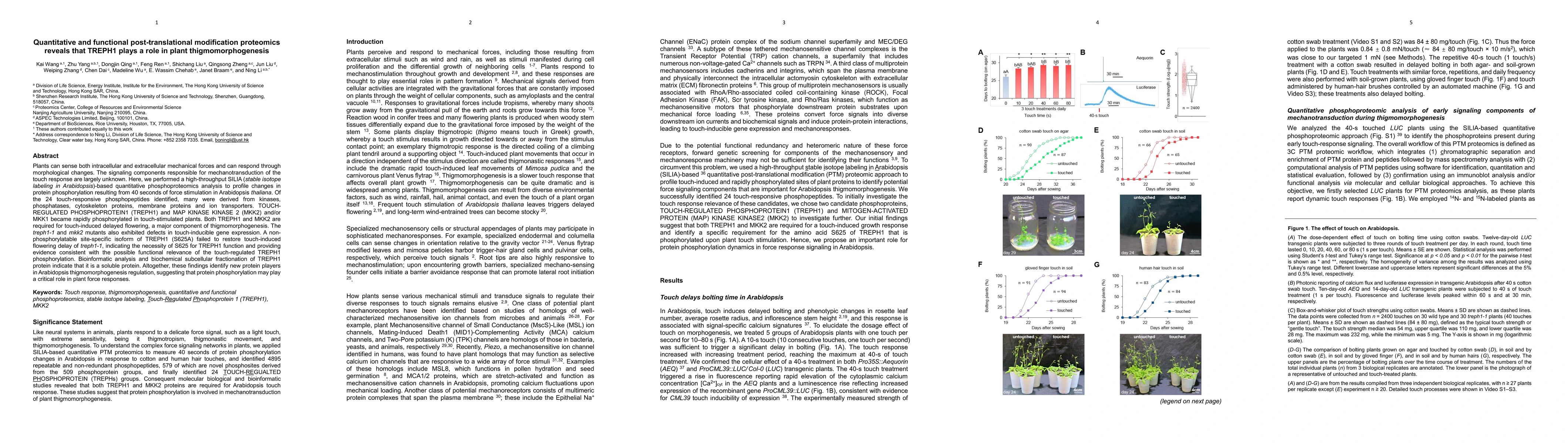 Thumbnail for Quantitative and functional post-translational modification proteomics
  reveals that TREPH1 plays a role in plant thigmomorphogenesis