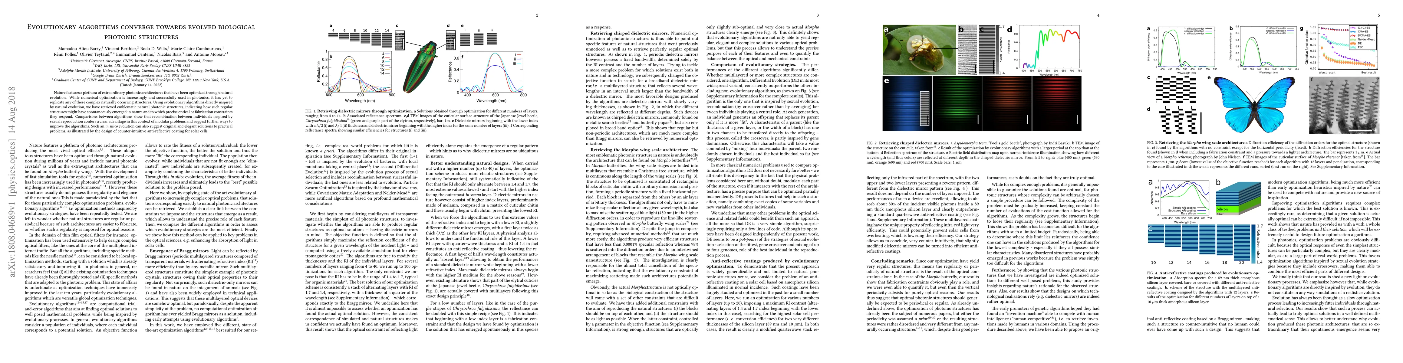 Thumbnail for Evolutionary algorithms converge towards evolved biological photonic
  structures