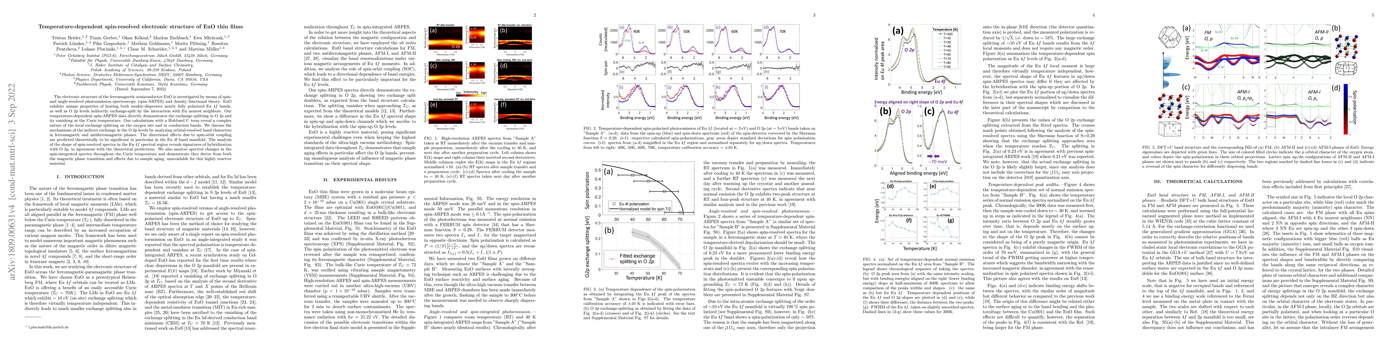 Thumbnail for Temperature-dependent spin-resolved electronic structure of EuO thin
  films