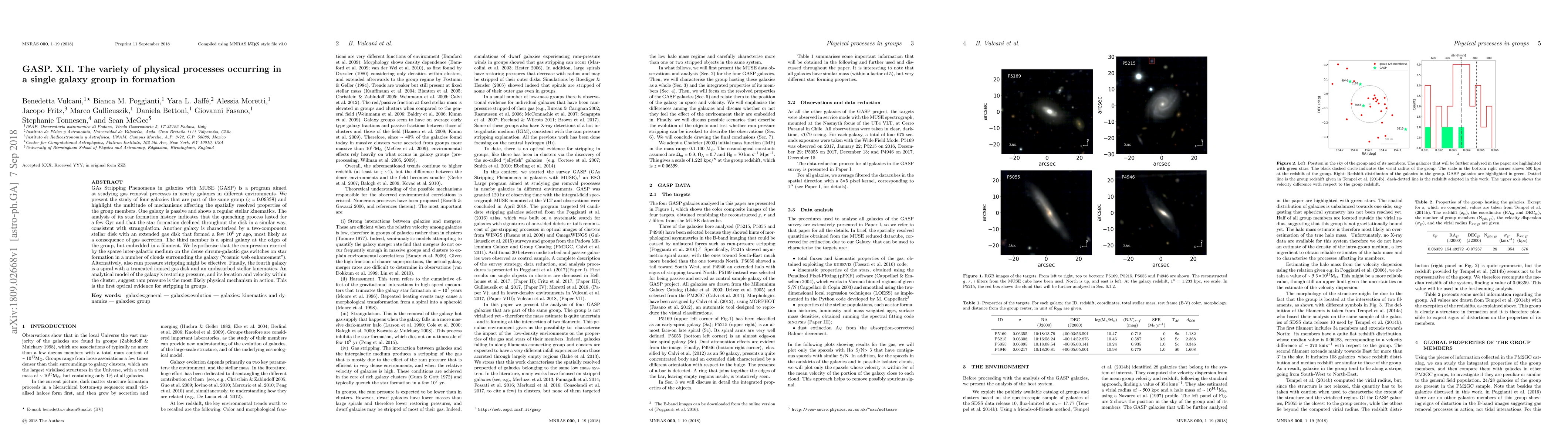 Thumbnail for GASP. XII. The variety of physical processes occurring in a single
  galaxy group in formation
