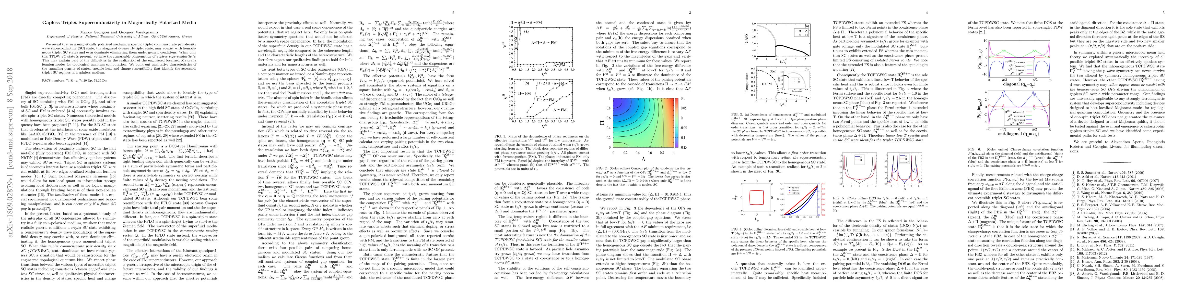 Thumbnail for Gapless Triplet Superconductivity in Magnetically Polarized Media