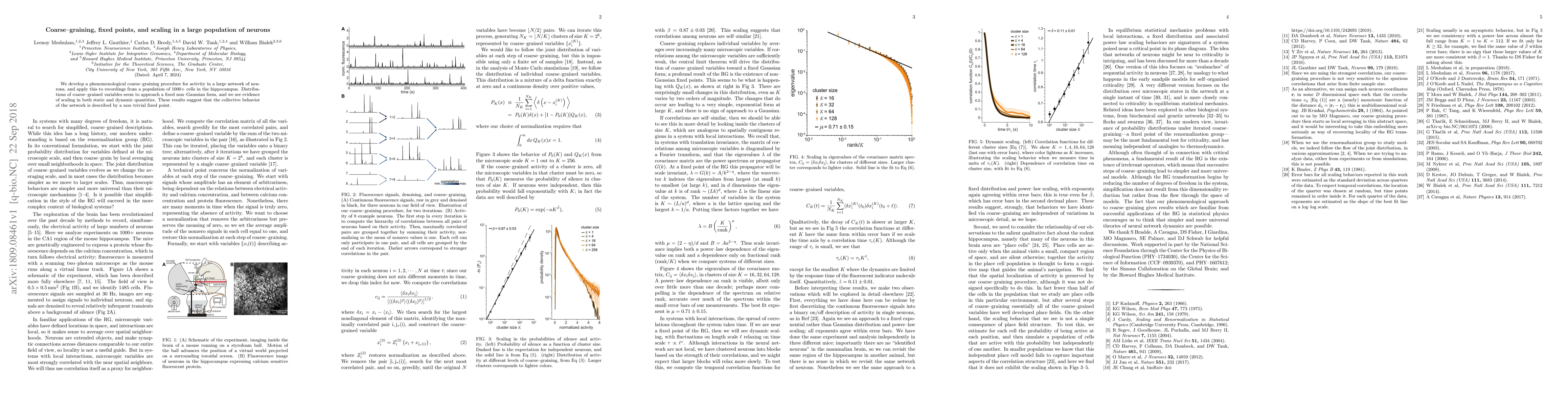 Thumbnail for Coarse--graining, fixed points, and scaling in a large population of
  neurons