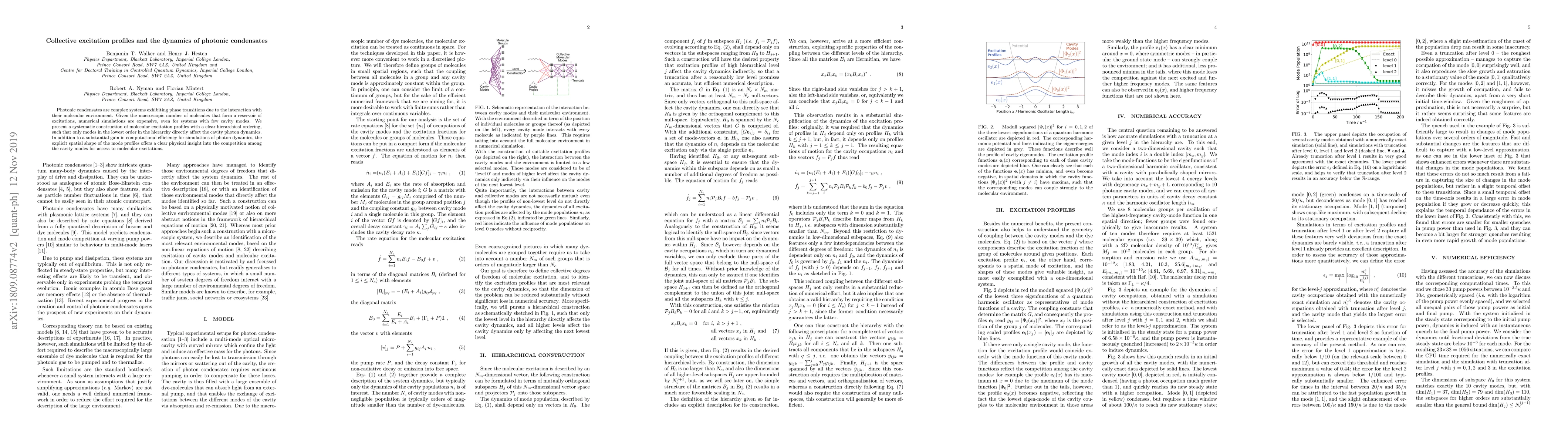 Thumbnail for Collective excitation profiles and the dynamics of photonic condensates