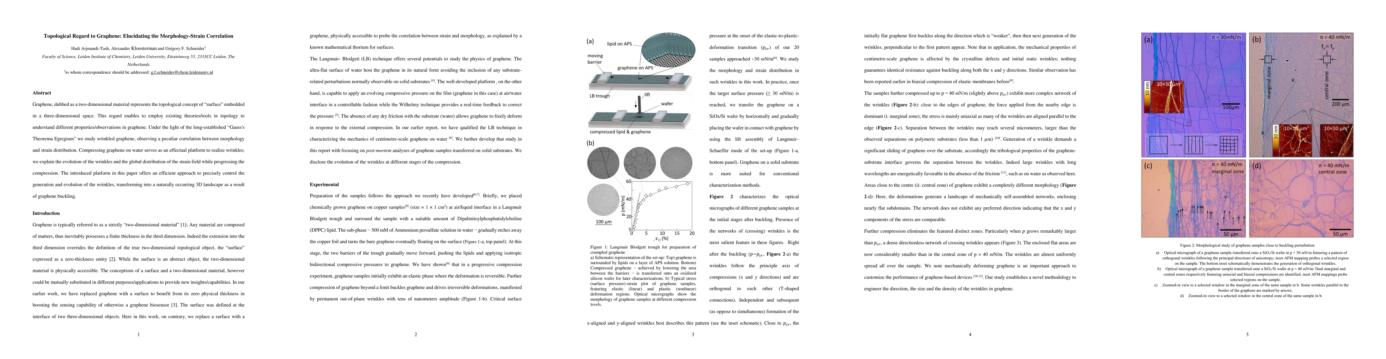 Thumbnail for Topological Regard to Graphene: Elucidating the Morphology-Strain
  Correlation