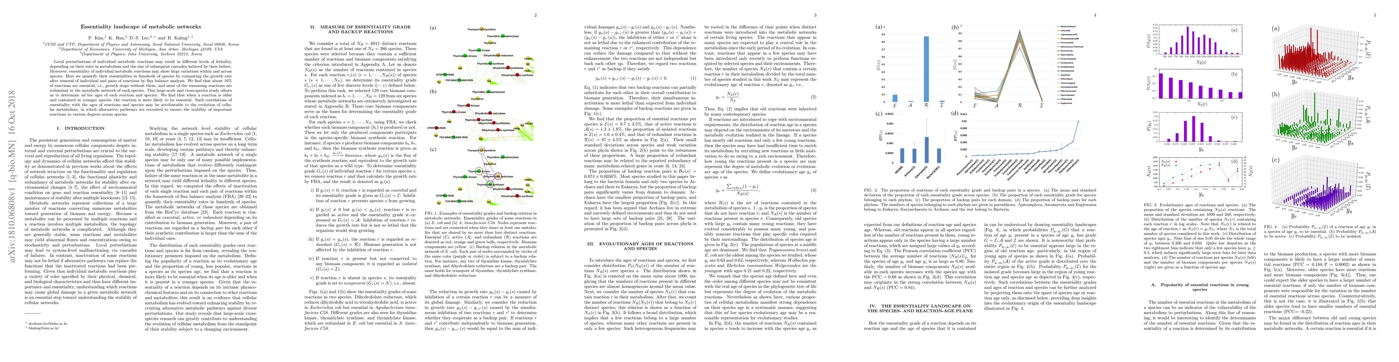 Thumbnail for Essentiality landscape of metabolic networks