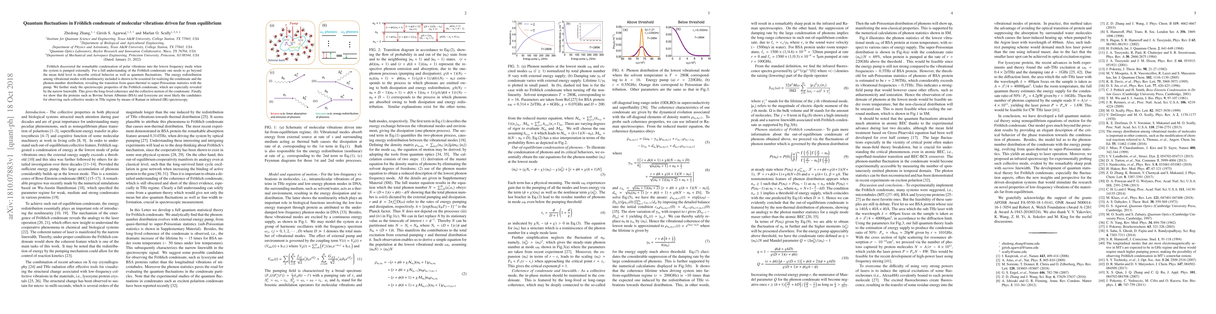 Thumbnail for Quantum fluctuations in Fr\"ohlich condensate of molecular vibrations
  driven far from equilibrium