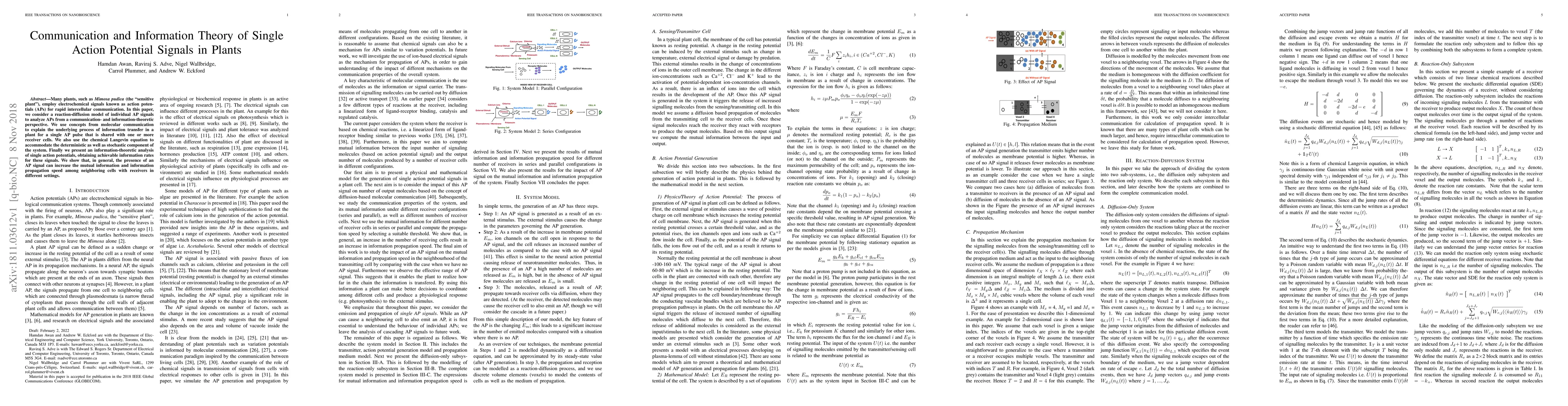 Thumbnail for Communication and Information Theory of Single Action Potential Signals
  in Plants