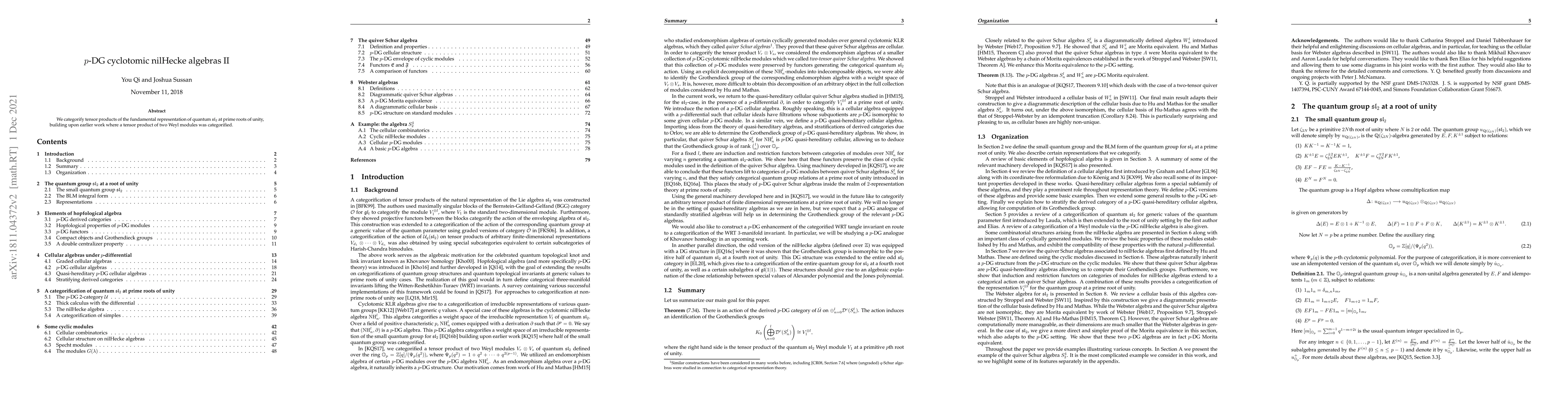 Thumbnail for p-DG cyclotomic nilHecke algebras II
