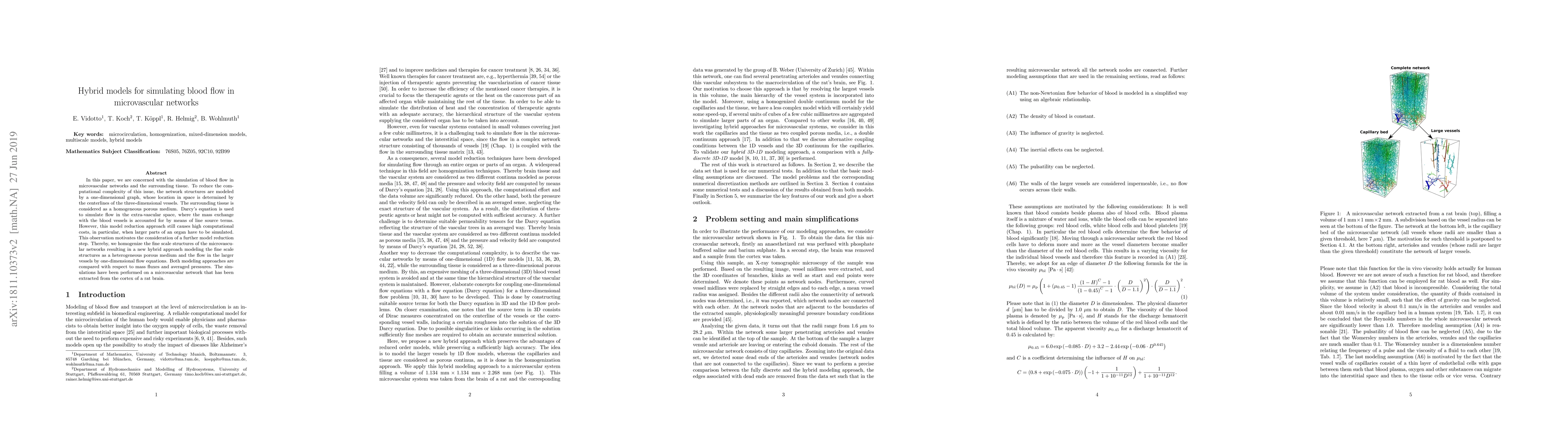 Thumbnail for Hybrid models for simulating blood flow in microvascular networks
