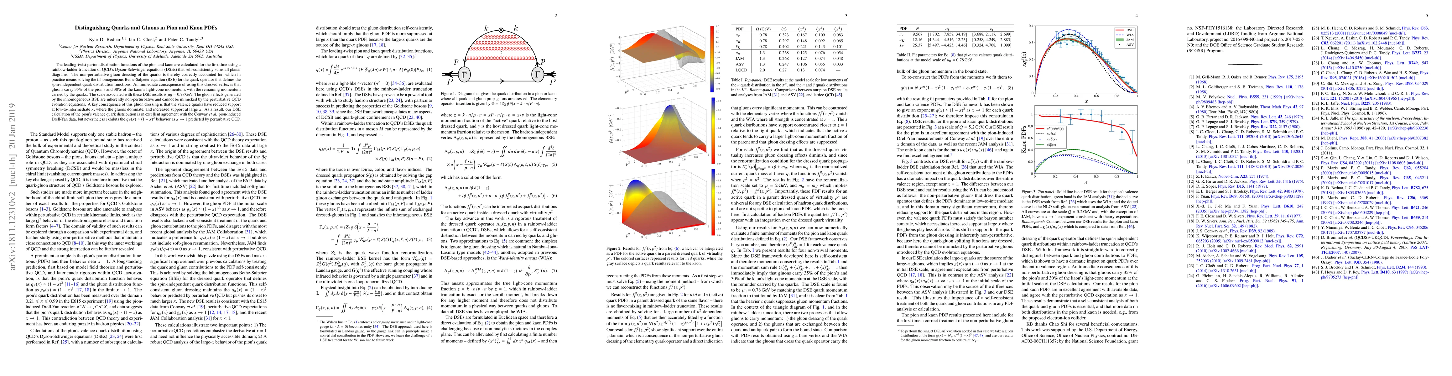 Thumbnail for Distinguishing Quarks and Gluons in Pion and Kaon PDFs