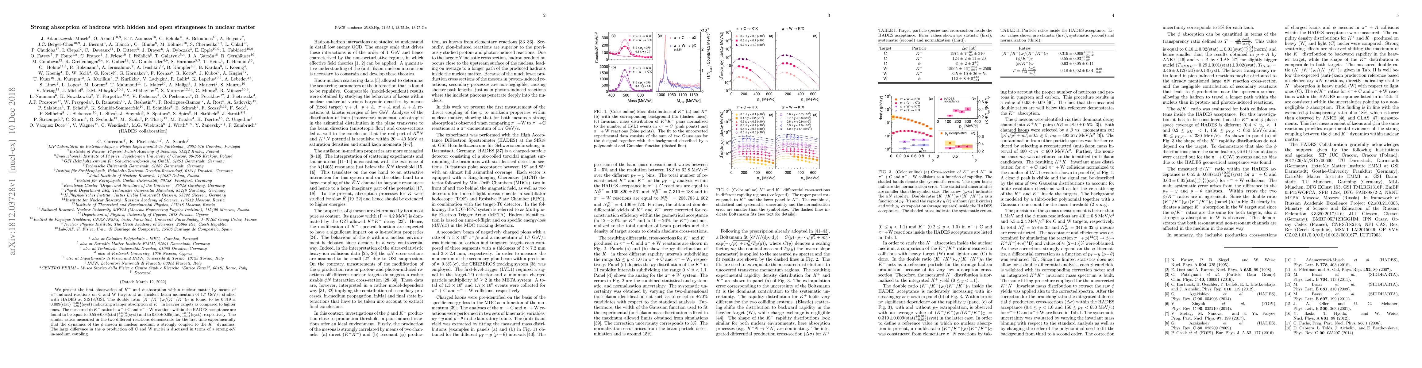 Thumbnail for Strong absorption of hadrons with hidden and open strangeness in nuclear
  matter