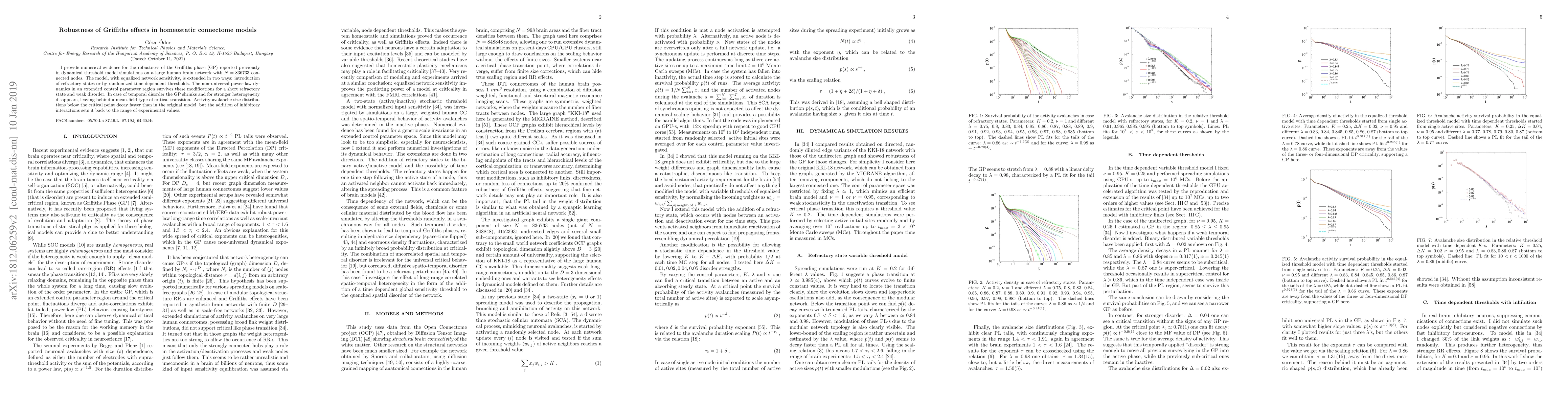Thumbnail for Robustness of Griffiths effects in homeostatic connectome models