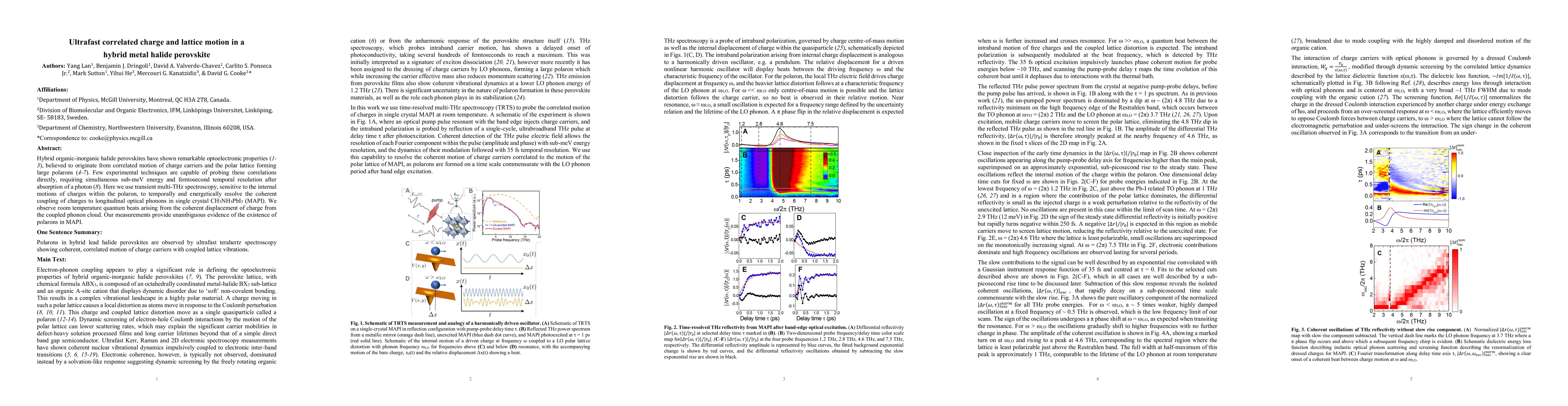 Thumbnail for Ultrafast correlated charge and lattice motion in a hybrid metal halide
  perovskite