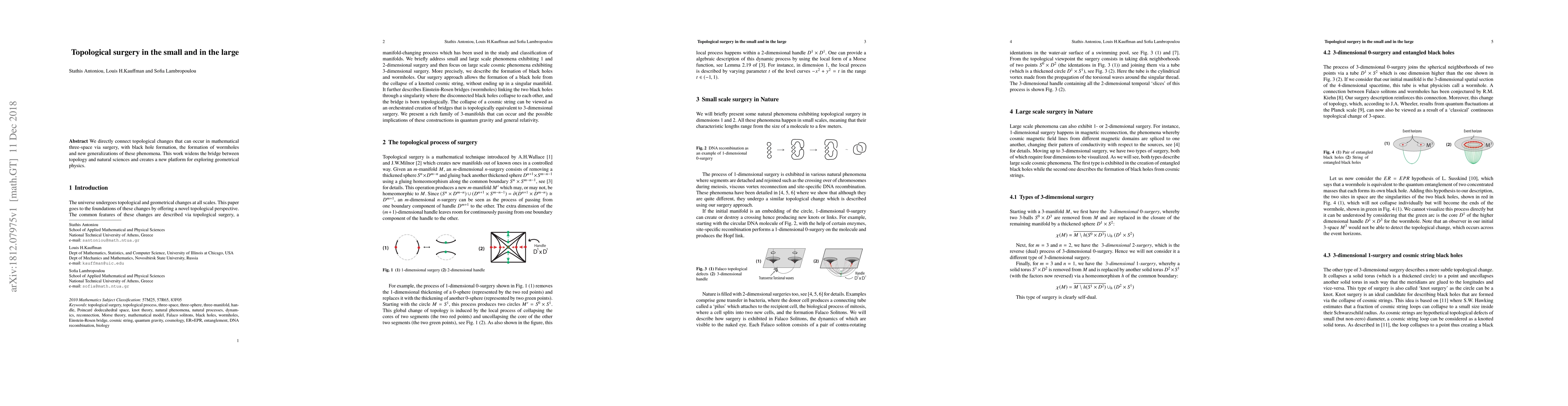 Thumbnail for Topological surgery in the small and in the large