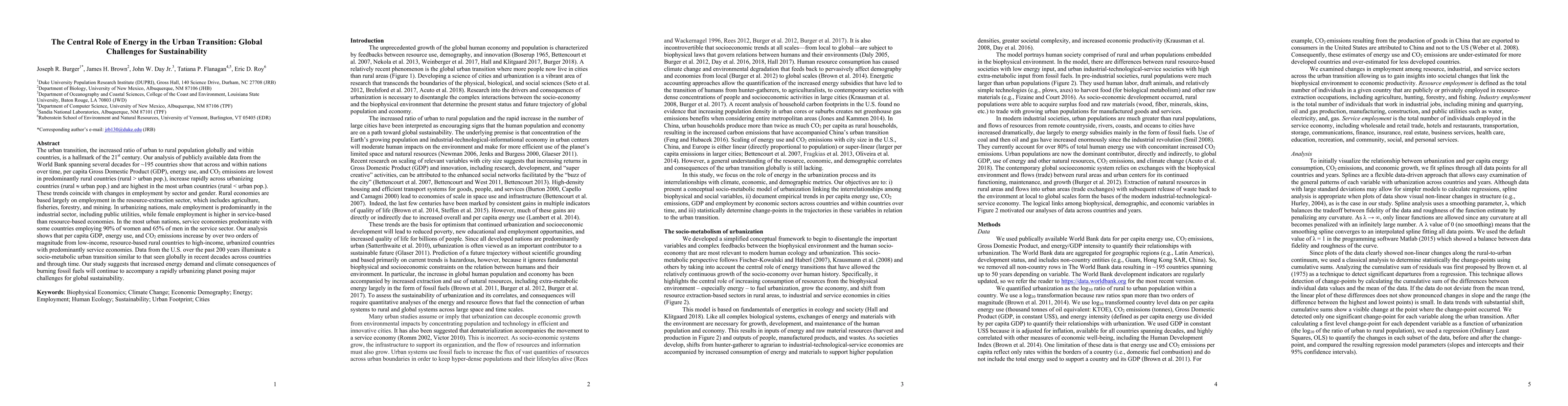 Thumbnail for The Central Role of Energy in the Urban Transition: Global Challenges
  for Sustainability