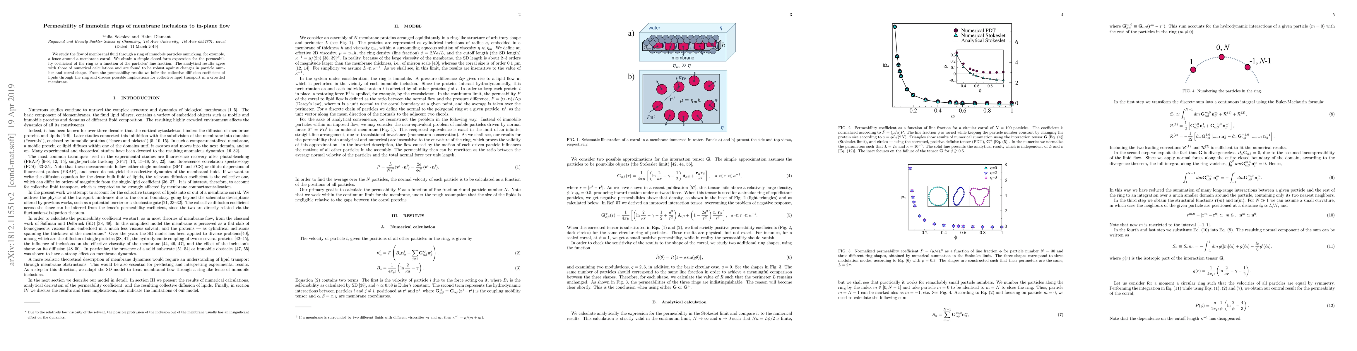 Thumbnail for Permeability of immobile rings of membrane inclusions to in-plane flow