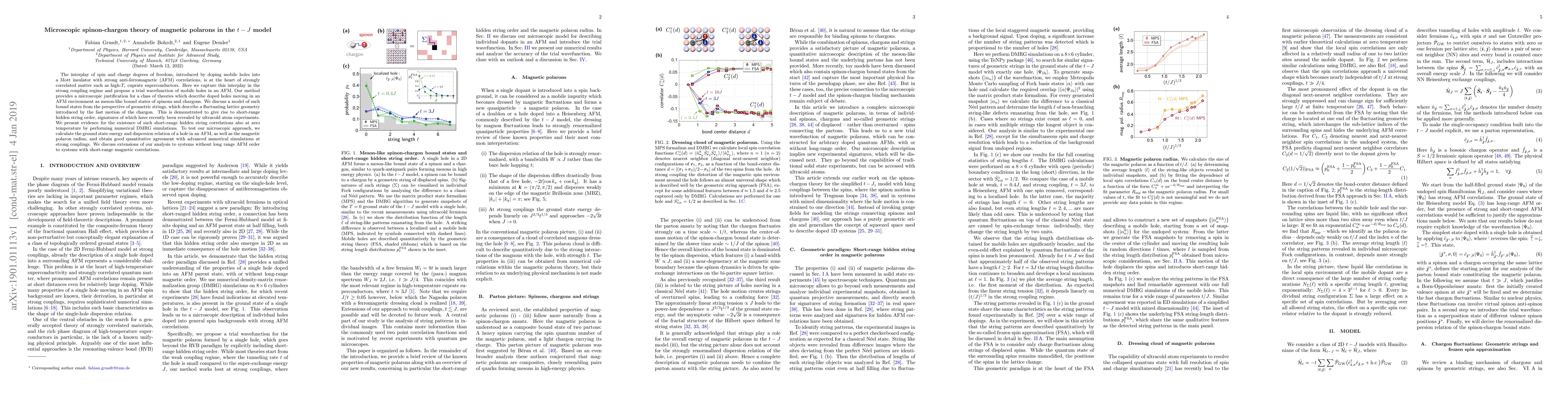 Thumbnail for Microscopic spinon-chargon theory of magnetic polarons in the t-J model